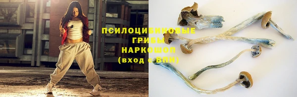 кокаин Белокуриха
