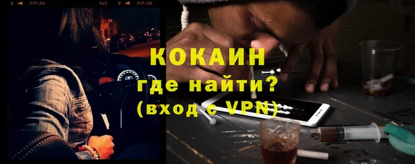 шишки Нея